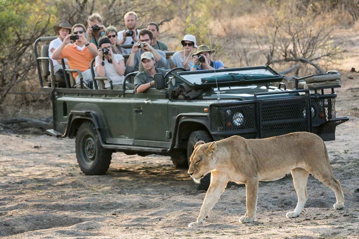 Safari Experience at Rhino & Lion Park