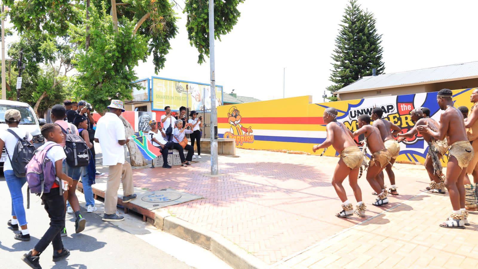 Soweto and Lion Safari Park Tour